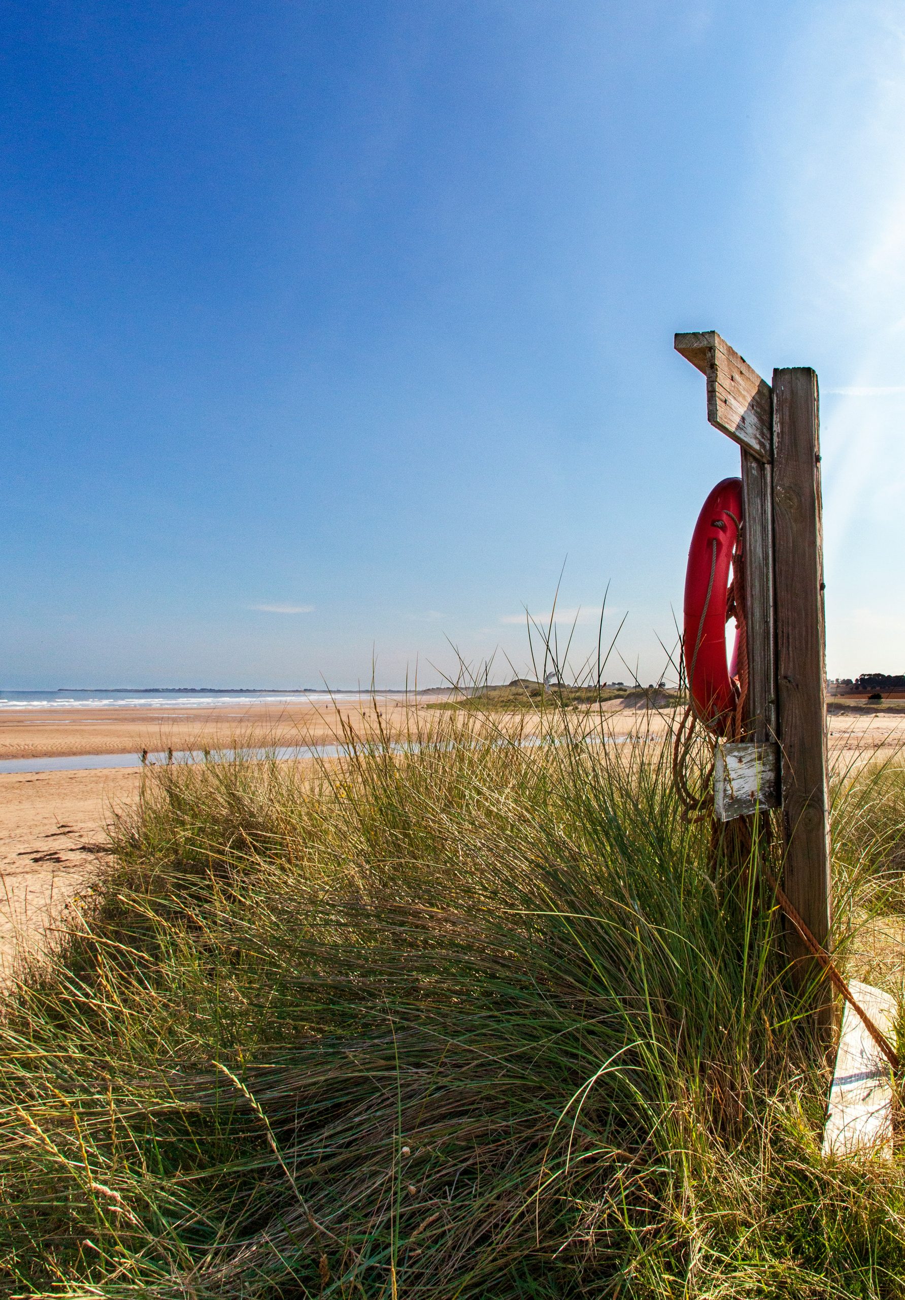 liferingwebsitephoto